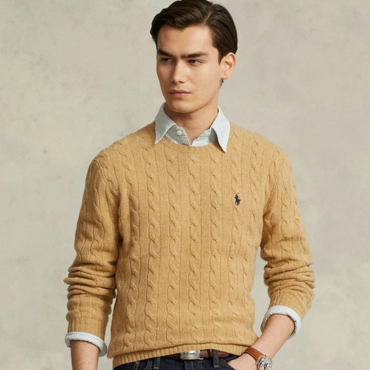 Elandor RL™ | Pull Unisexe en Coton Torsadé à Col Rond